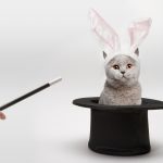 No te juegues tu clinica por un equipo barato SIN REGISTRO: el papel de las grandes marcas y por qué Capenergy marca la diferencia